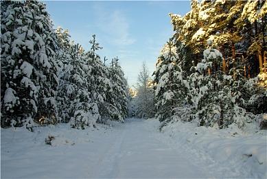 KK对战平台新图推荐，300英雄降临埃及，爽快割草等你来战！